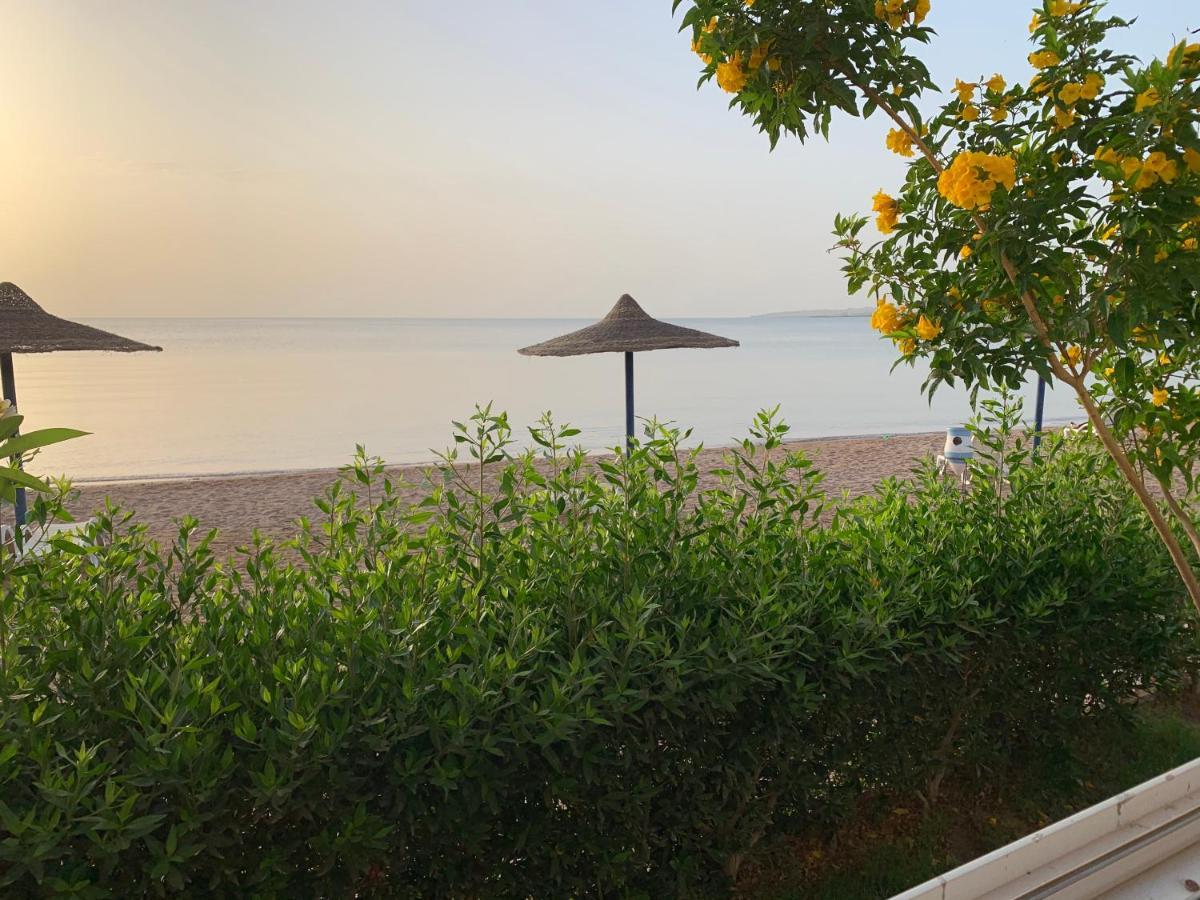 Furnished For Rent In Cecilia Gurdaka